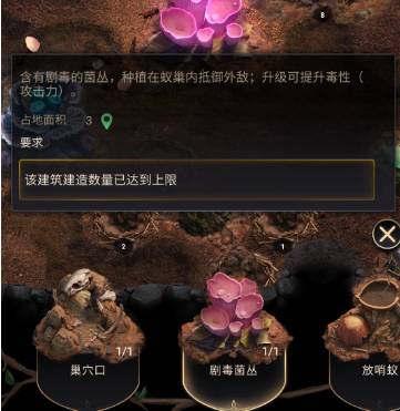 《小小蚁国》账号丢失终极攻略:找回、防范全解析 小小蚁国账号突然没了