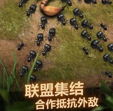 小小蚁国荣誉值提升秘籍:打造最强蚁国 小小蚁国增加荣誉值