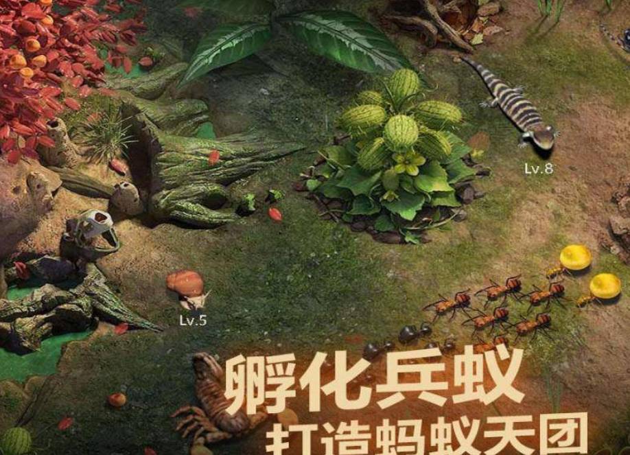 巨响蚁战力飙升!小小蚁国高级兵种进阶全攻略 小小蚁国巨响蚁怎么升级
