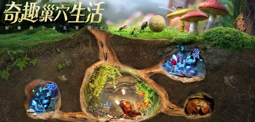 小小蚁国:蚜虫35级通关攻略,助你称霸蚁巢! 小小蚁国蚜虫35级