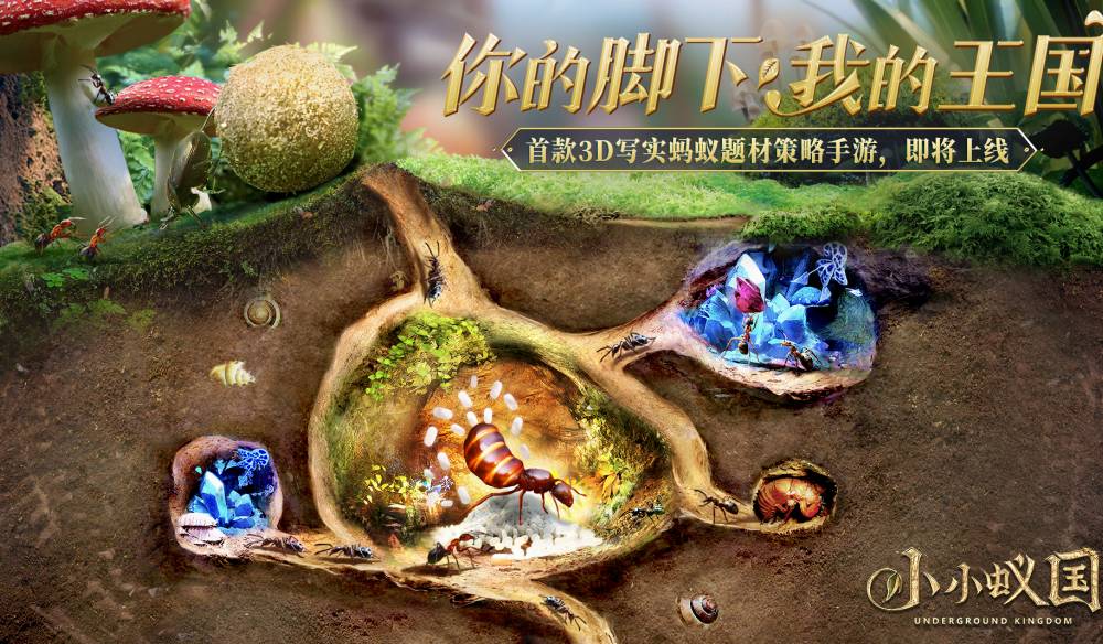 小小蚁国:11级蝎子全面攻略,轻松应对挑战! 小小蚁国11级蝎子
