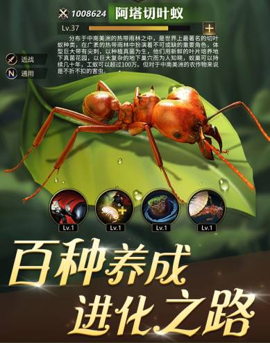 《小小蚁国》女生玩家指南:甜蜜蚁后养成记 小小蚁国女生玩家多吗