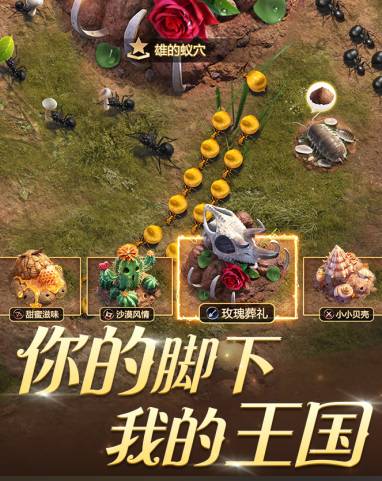 《小小蚁国》奇异蜜露获取全攻略:助你蚁巢快速崛起 小小蚁国获得奇异蜜露