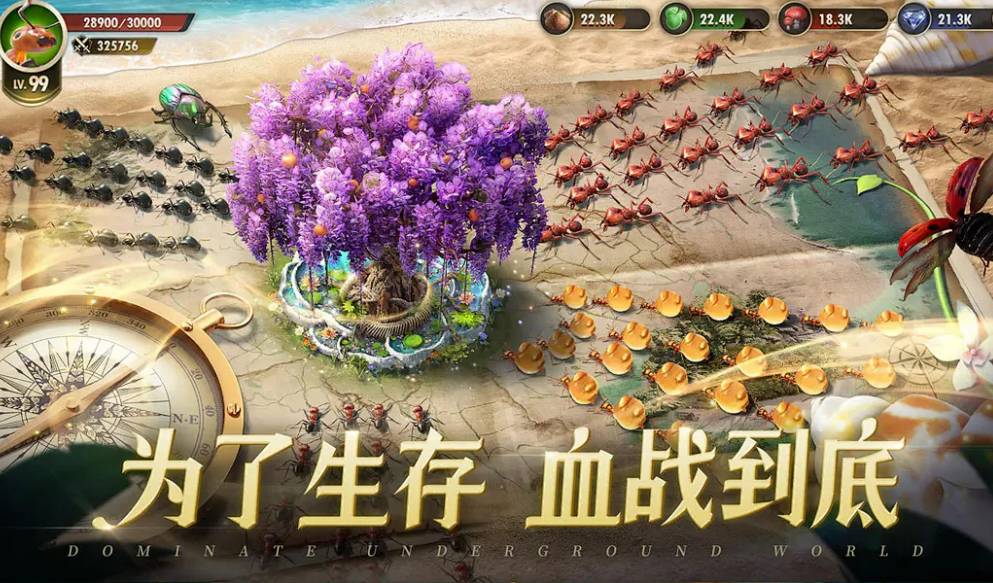 《小小蚁国》速成攻略:制霸蚁穴的飞速发展指南 小小蚁国速度跑的快