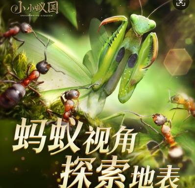 蚁国崛起秘籍:小小蚁国荣誉值快速获取攻略 小小蚁国荣誉值获得