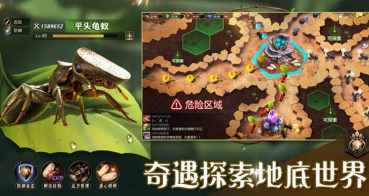 小小蚁国:征服海岛!最强蚁群战术与特化蚁搭配深度解析 小小蚁国最强海岛蚁