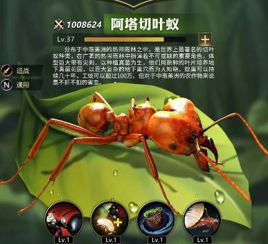 《小小蚁国》版本选择终极指南:哪个版本最适合你? 小小蚁国那个版本好