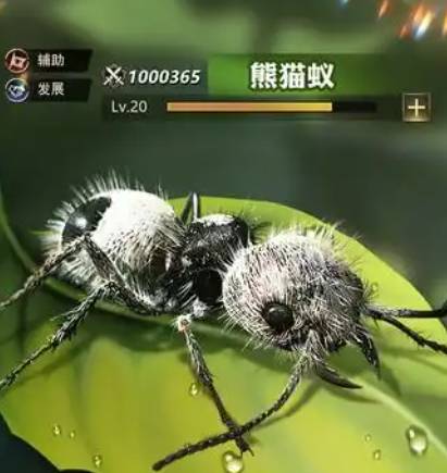 《小小蚁国》速成攻略:制霸蚁穴的飞速发展指南 小小蚁国速度跑的快