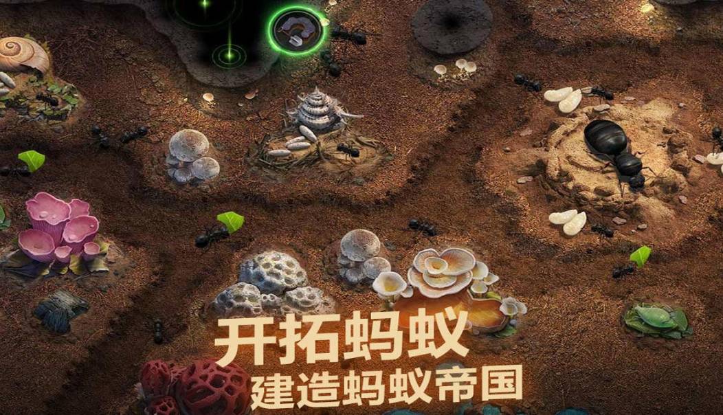 《小小蚁国》神秘黑影:终极攻略,解锁黑暗力量! 小小蚁国神秘黑影玩法