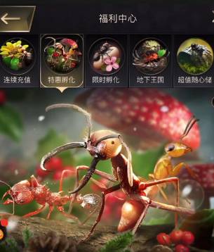 《小小蚁国》巨型龟蚁:掌控防御核心的终极攻略 小小蚁国巨型龟蚁解锁