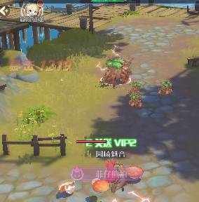 ������Լ���׹���